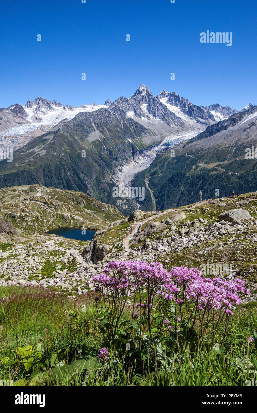 Le massif du Mont Blanc vu depuis le Lac de Chesery Aiguilles du Chardonnet. Haute Savoie. France Banque D'Images