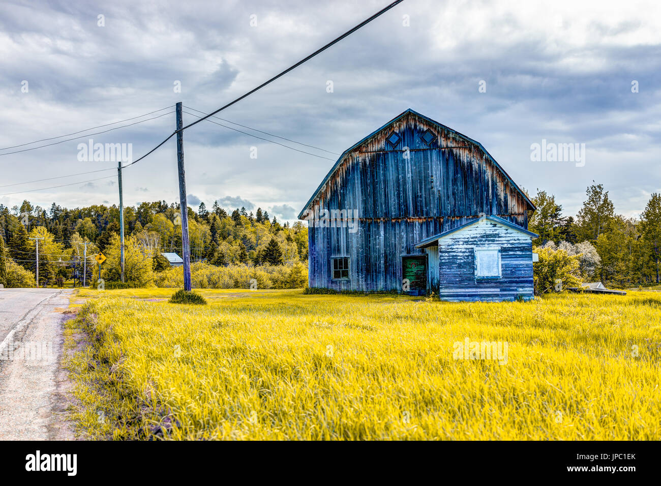 Peint bleu vintage ancien hangar grange house en paysage d'automne golden grass field in countryside Banque D'Images