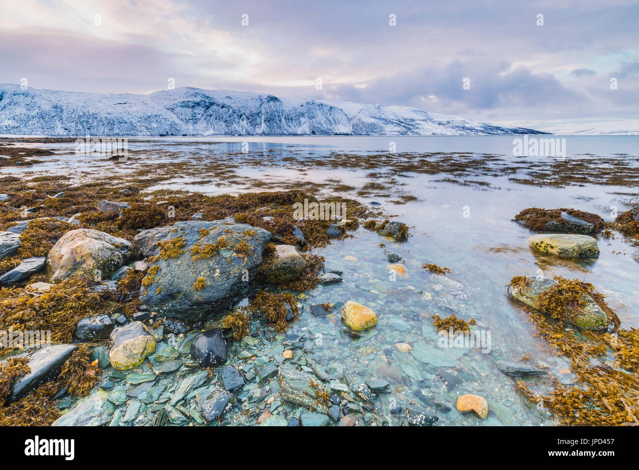 Côte norvégienne typique avec des roches à marée basse à un fjord, comté de Troms, Norvège. Le soleil est bas au-dessus de l'horizon, le ciel obscurci. C Montagnes Banque D'Images