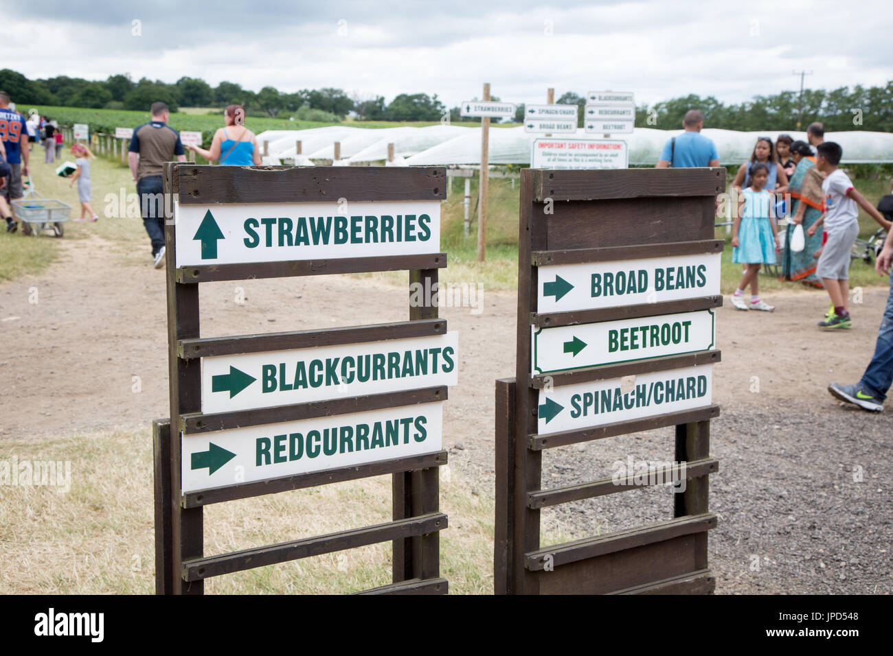 Des panneaux indiquant cueillette des fruits à Parkside Farm, Enfield, au nord de Londres Banque D'Images