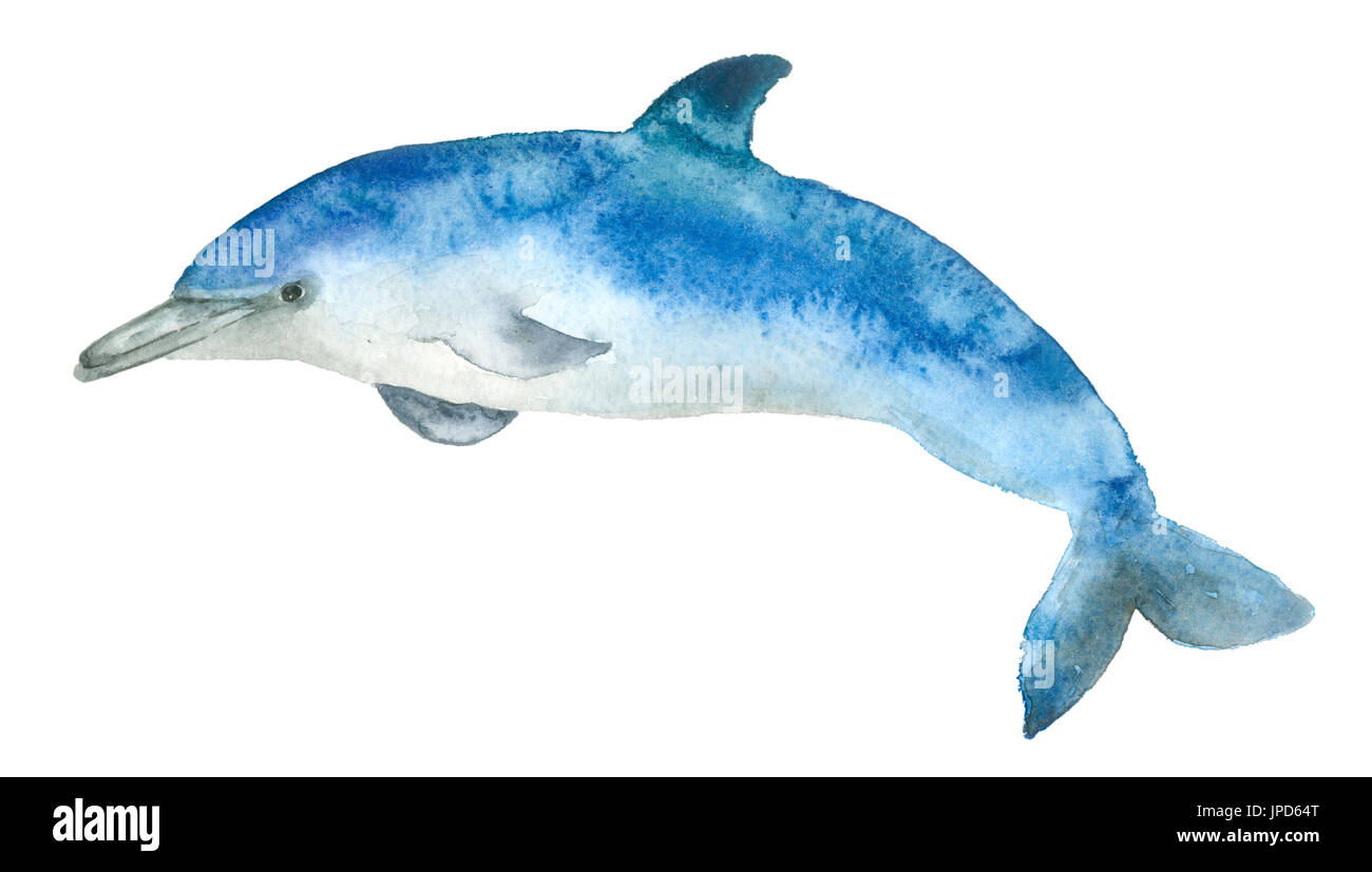 Aquarelle Blue dolphin Banque D'Images