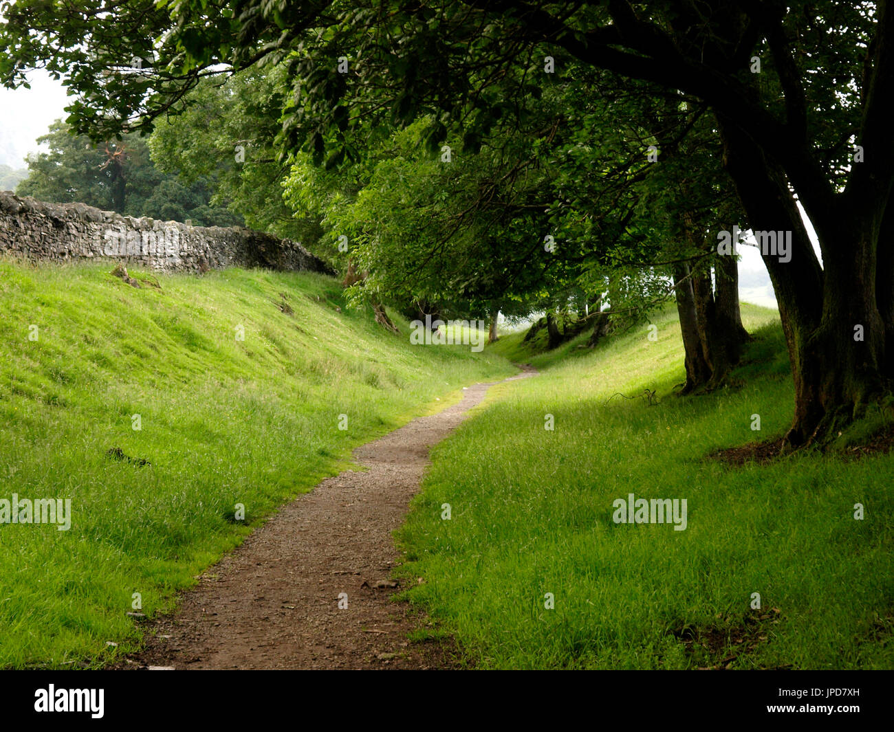 Chemin bordé d'arbres, Coniston, Lake District, Cumbria, Royaume-Uni Banque D'Images