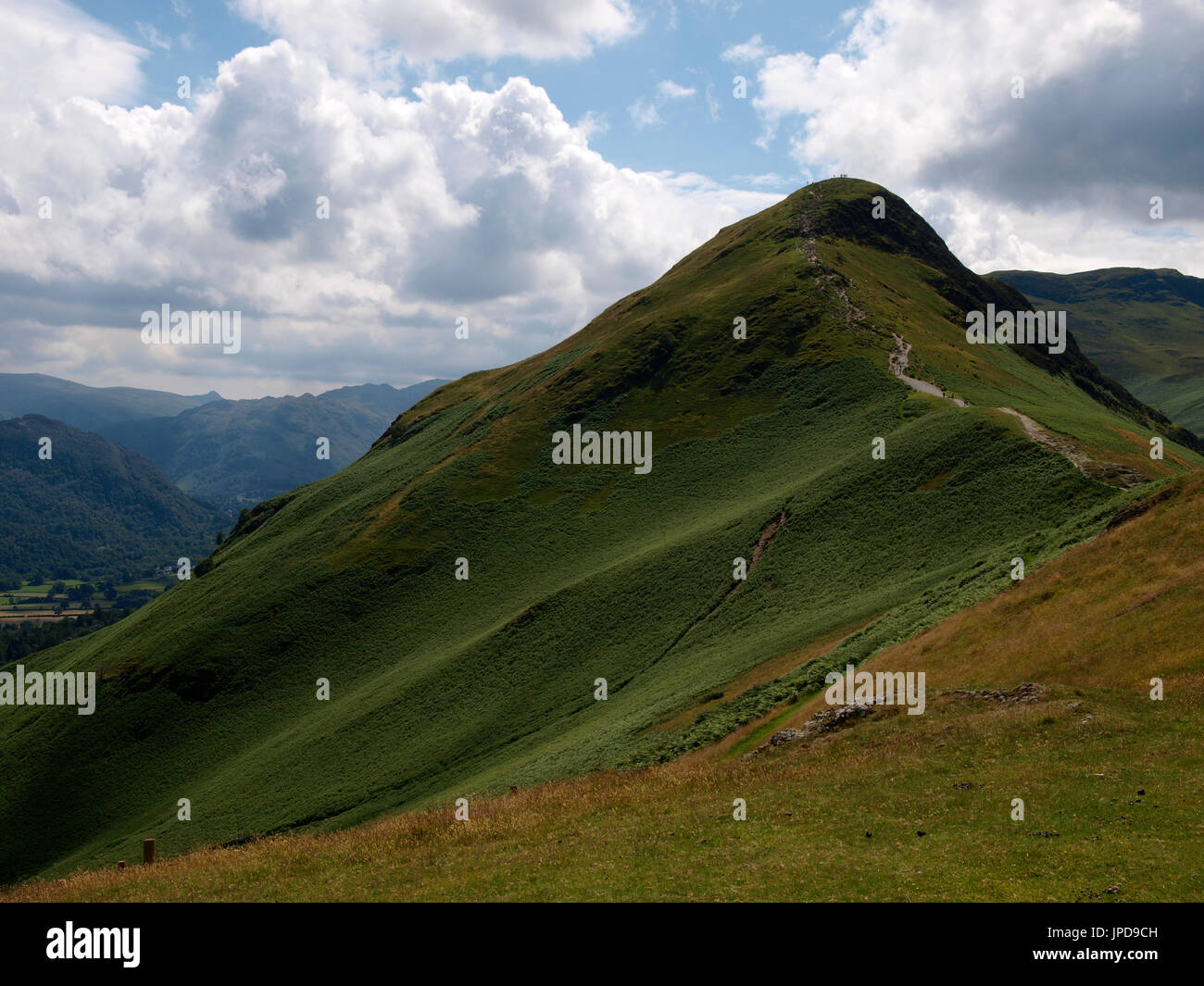 Cat bells est tombé, le Lake District, Cumbria, Royaume-Uni Banque D'Images