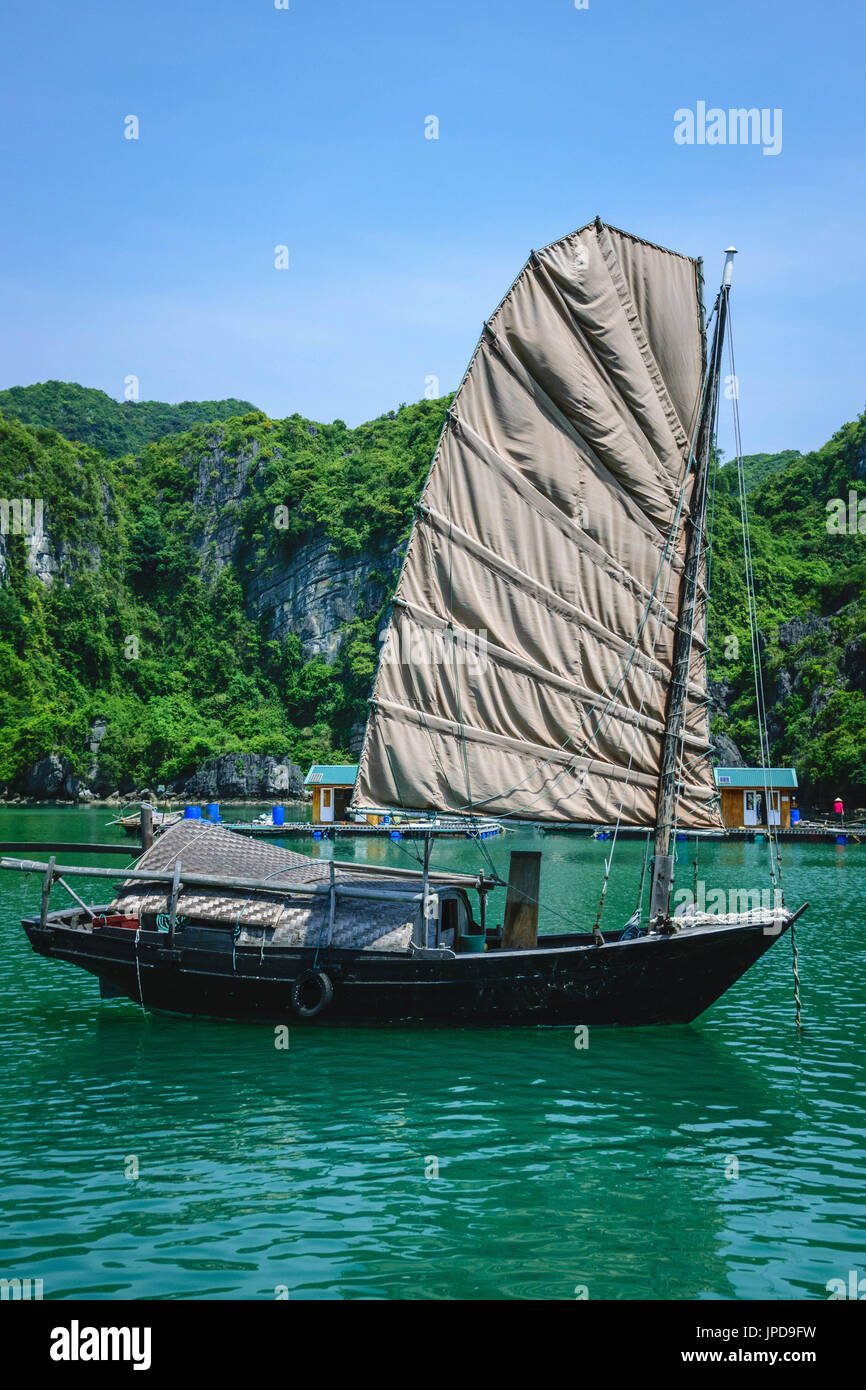 Une petite ordure, de mettre les voiles sur la baie de Ha Long Banque D'Images