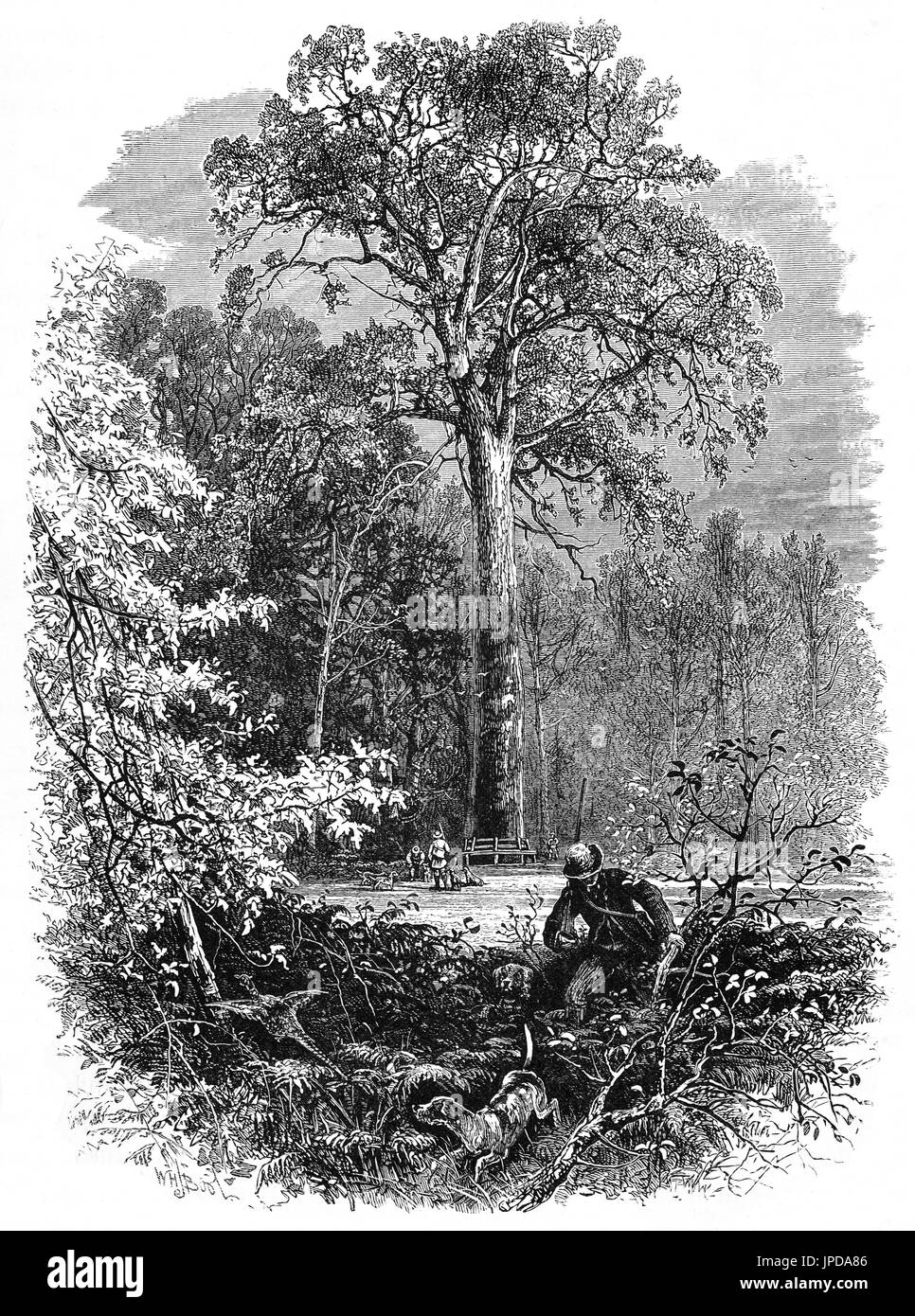 1870 : Chasseurs et chiens près de la Victoria Oak à Windsor Great Park, Berkshire, Angleterre Banque D'Images