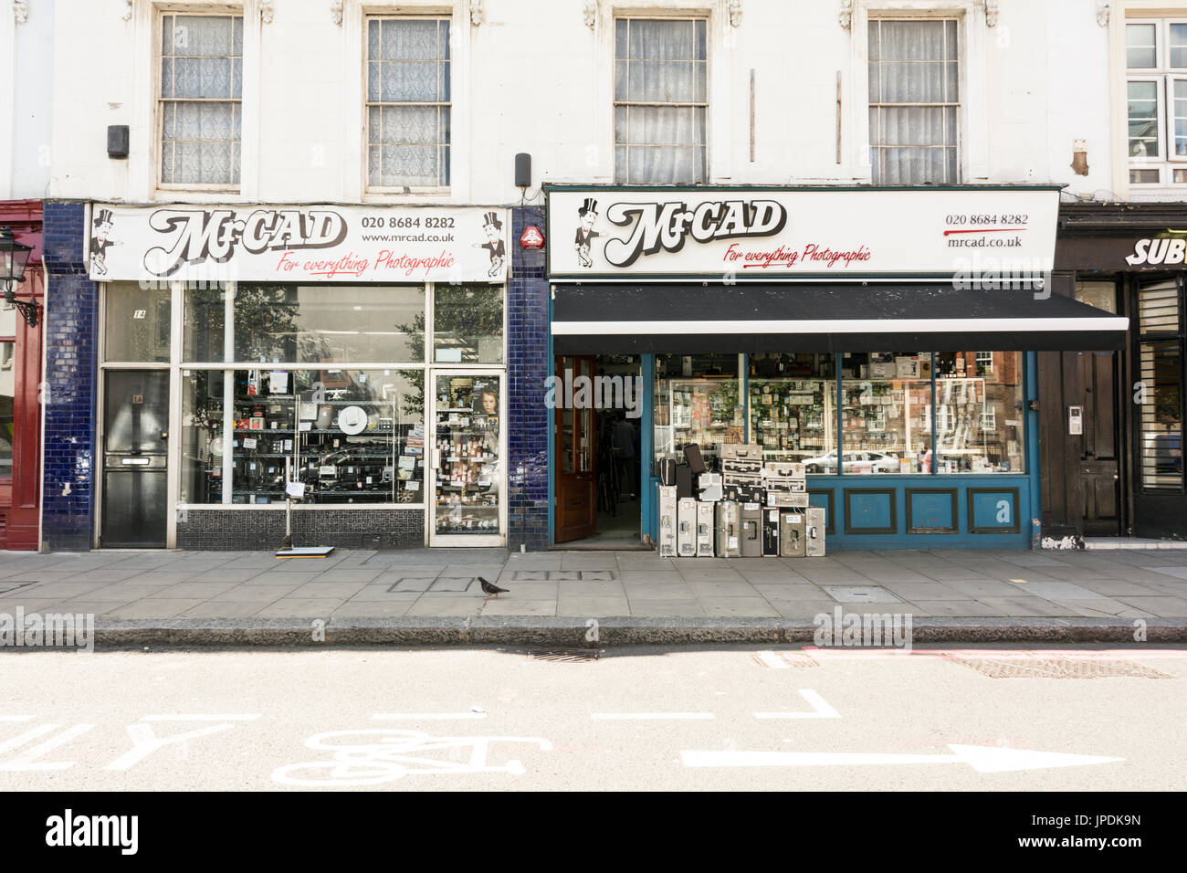 Monsieur Cad sur le photographique Tachbrook Street, Pimlico, Londres, UK Banque D'Images