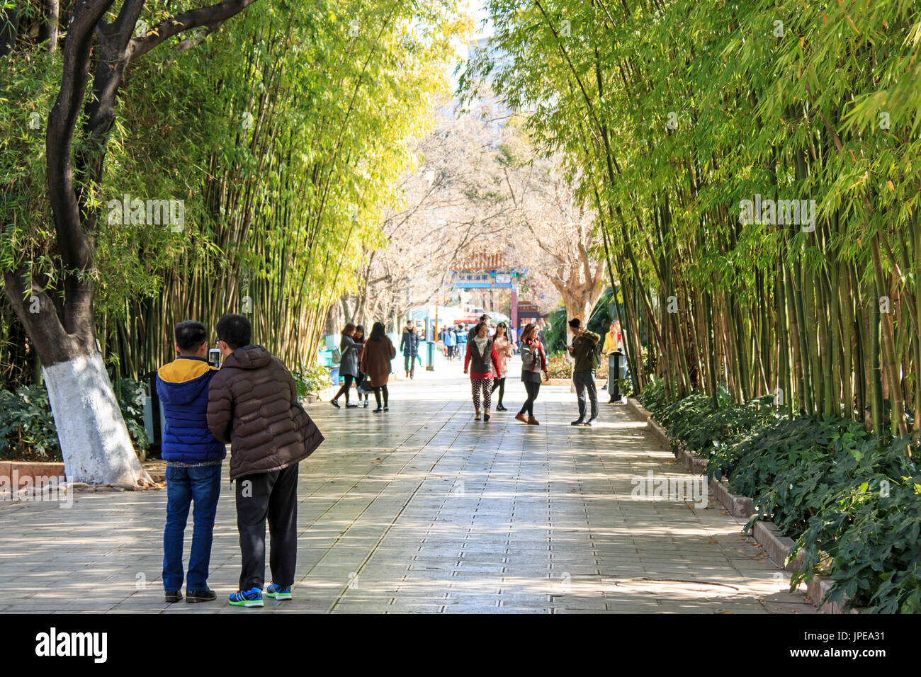 Les gens se détendre dans le parc du lac Vert à Kunming, Yunnan, l'endroit le plus populaire pour les loisirs dans la ville, Chine Banque D'Images