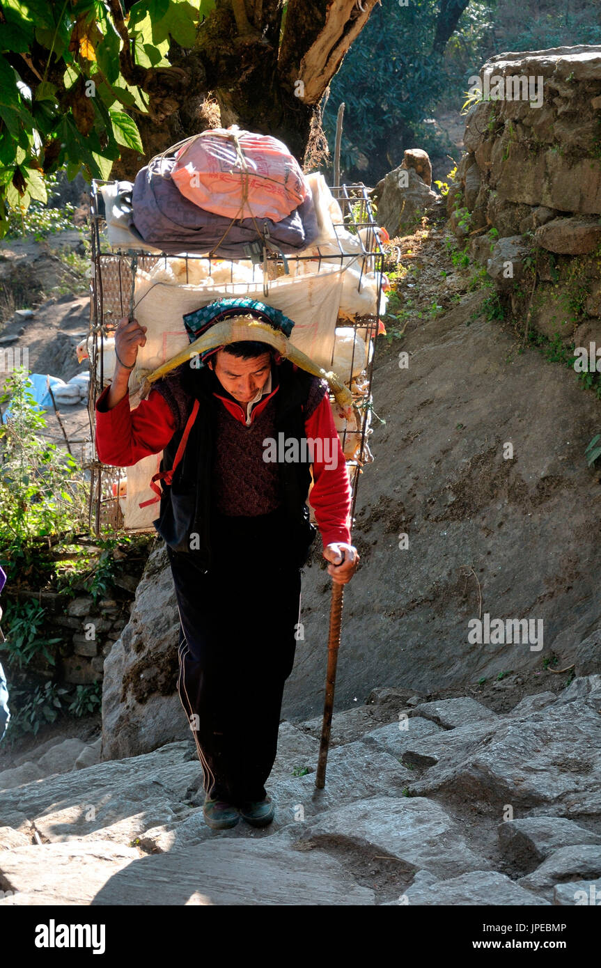 Transporteur le long d'un sentier de montagne qui relie de nombreux villages, le Népal. Banque D'Images