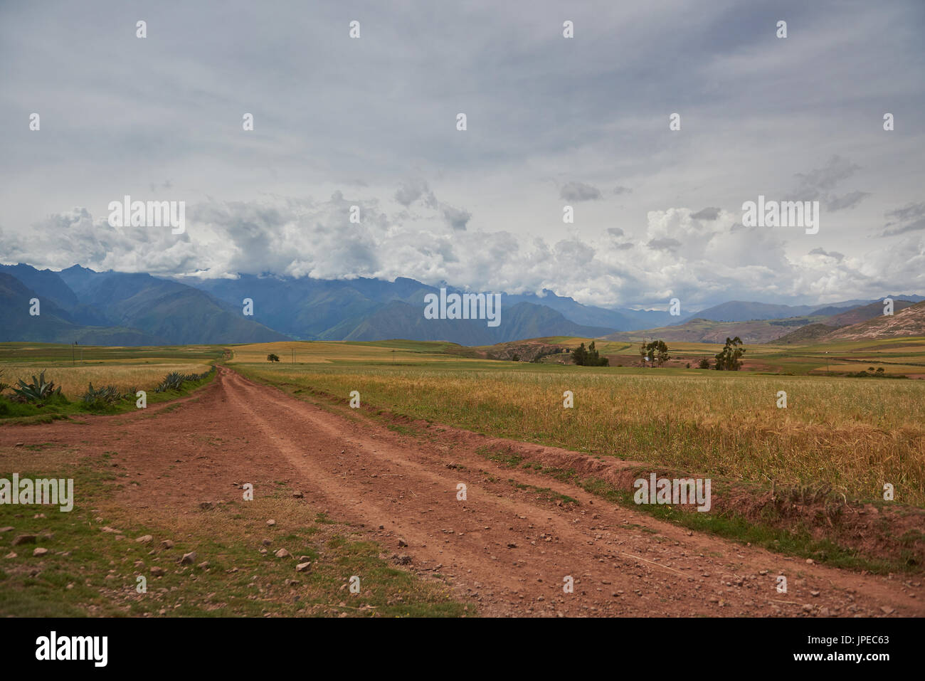 Route sale conduire à mountain par jour nuageux. Photographiez des paysages pittoresques Banque D'Images