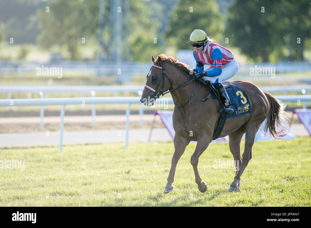 Jockeys Lady' Championnat du monde des pur-sang au Bro Park, Stockholm Banque D'Images