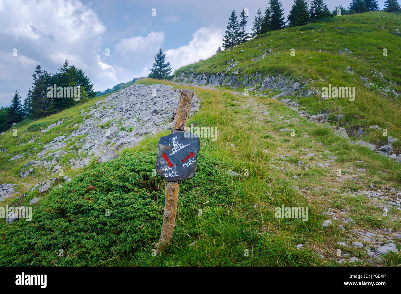 Mark chemin de randonnée à vélo dans les montagnes slovènes près de Soriska Planina. Banque D'Images