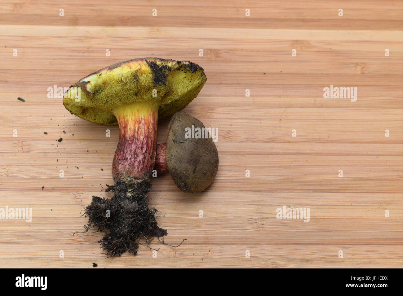 Les champignons classés sur planche de bois Banque D'Images