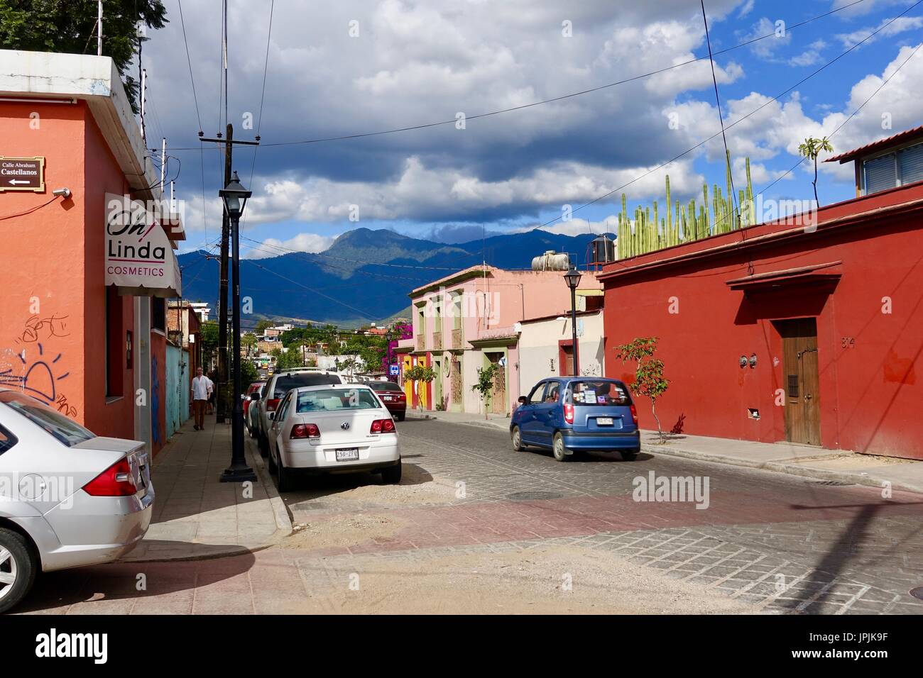 Scène de rue, Calle Porfirio Diaz, bâtiments avec intérêt architectural, cactus poussant sur les montagnes, sur le toit à distance. Oaxaca, Oaxaca, Mexique Banque D'Images