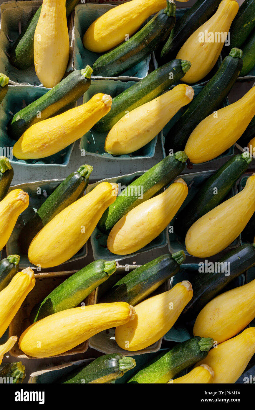 Monawk Valley, New York state -les courges et courgettes à la vente à un marché de fermiers dans le nord de New York Banque D'Images