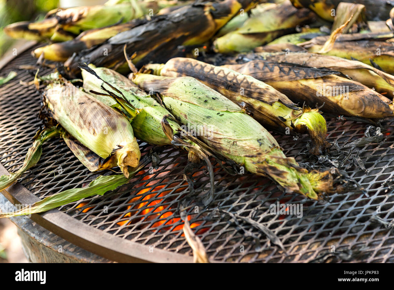 Le maïs doux grillé sur feu ouvert Banque D'Images