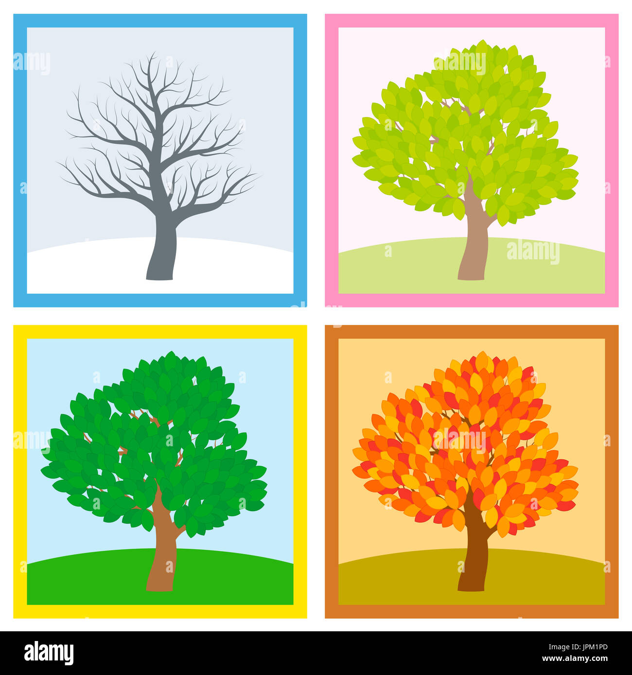 Arbre en hiver, printemps, été et automne avec le feuillage dans différentes couleurs et nuances typiques alors que les feuilles tourner tout au long d'une année. Banque D'Images