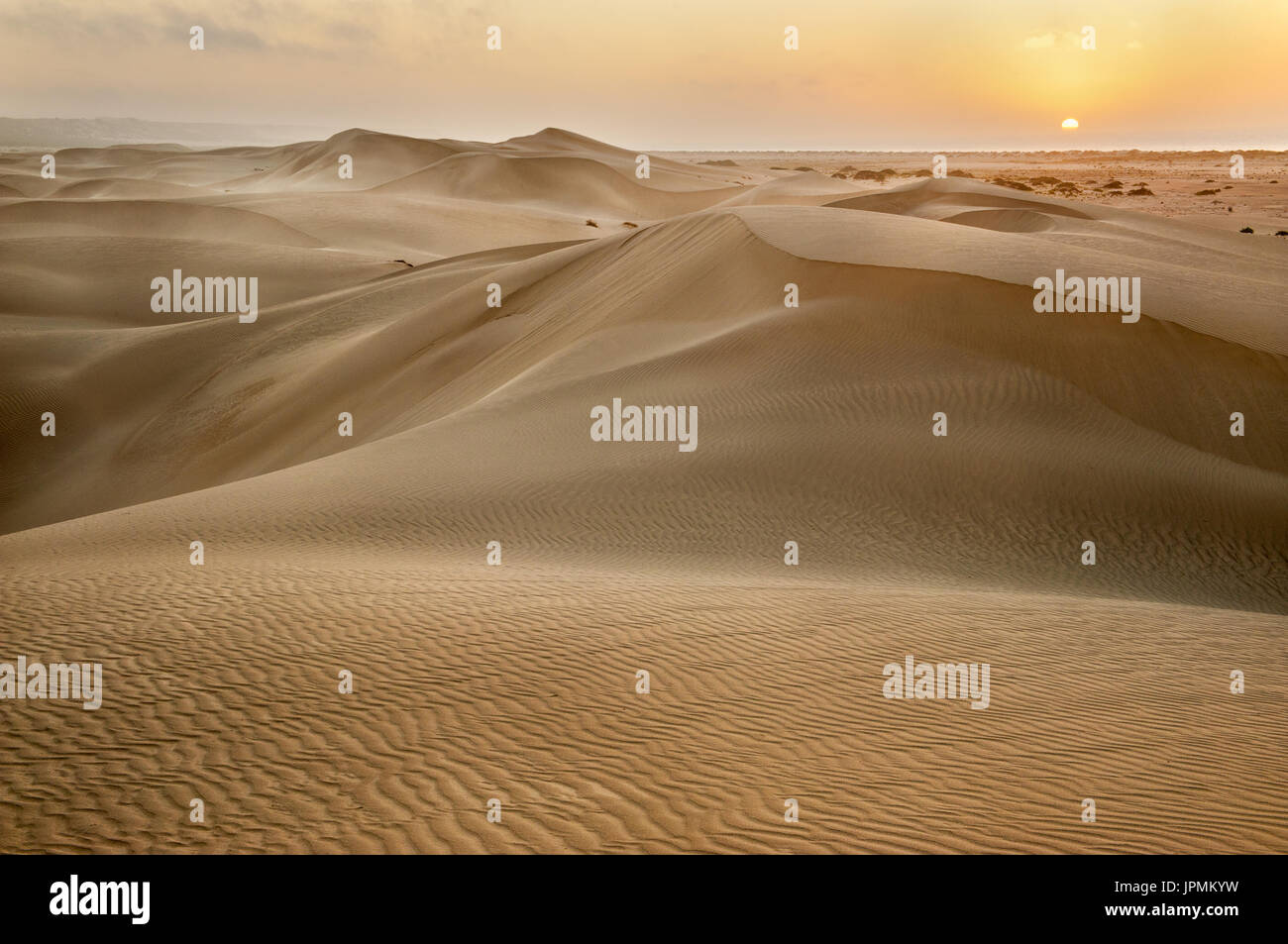 Première lumière sur les incroyables dunes de sable d'Eucla. Banque D'Images
