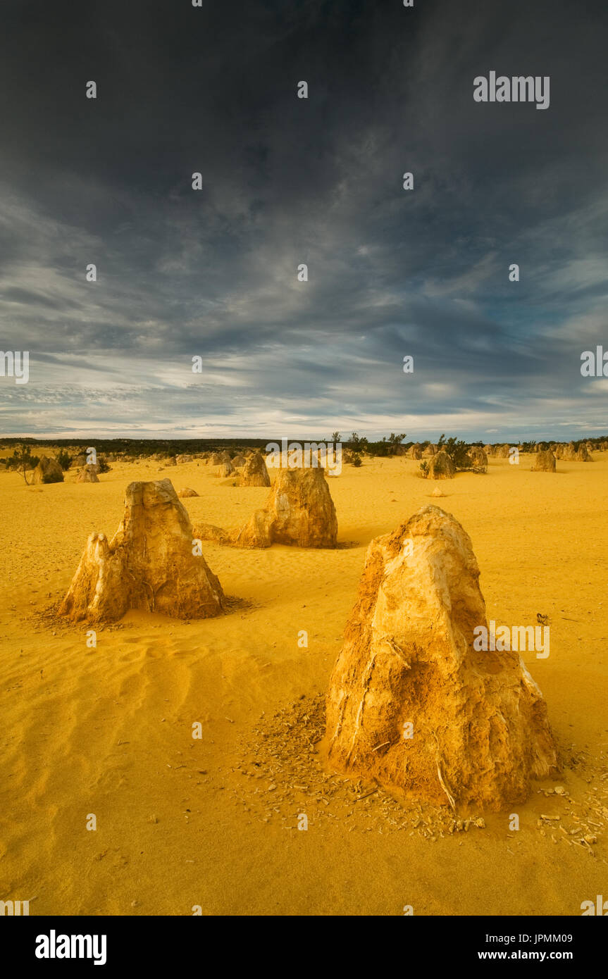Pinnacles célèbre dans le Parc National de Nambung. Banque D'Images