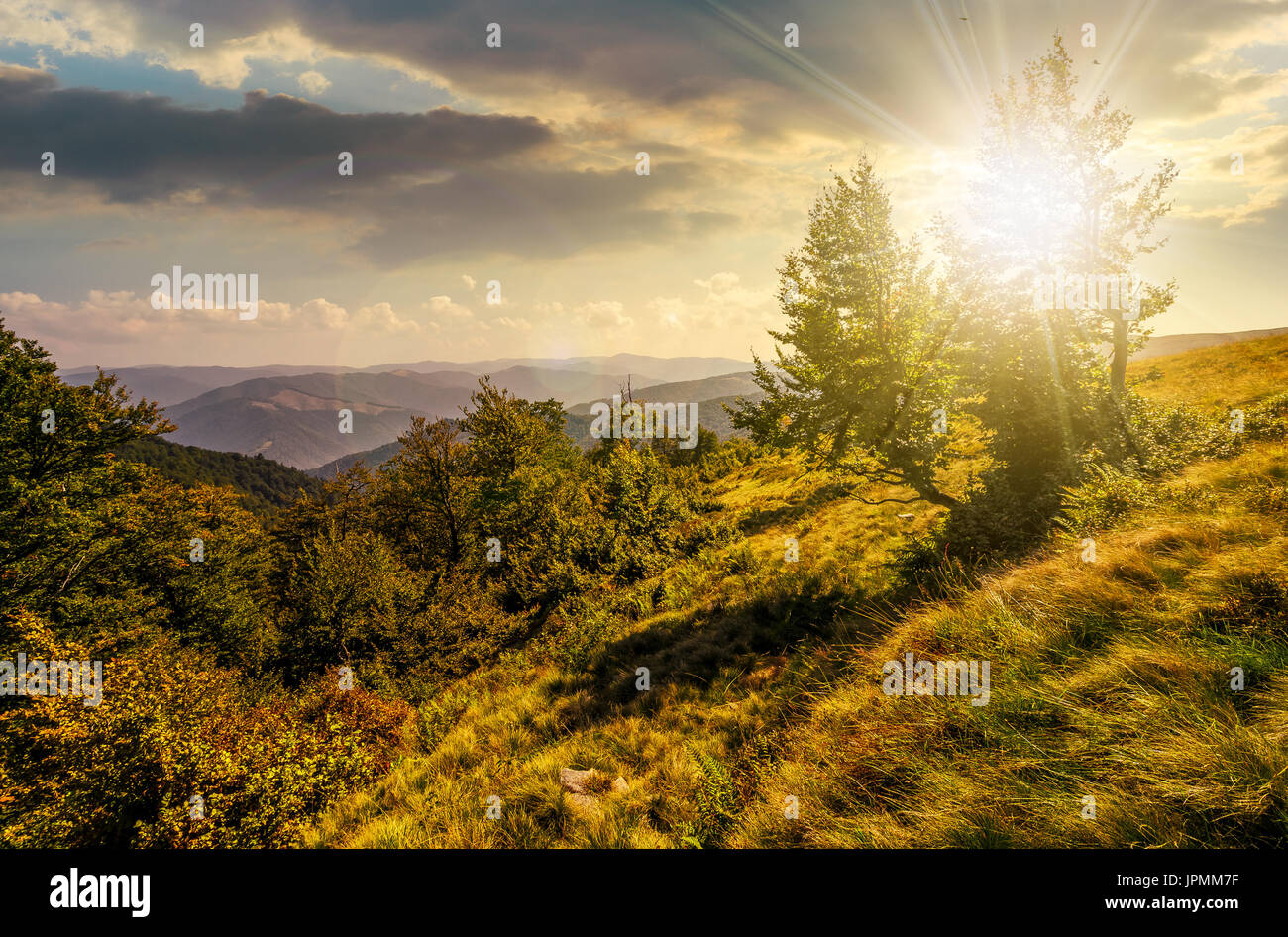 Forêt autour du pré sur une forte pente de montagne au coucher du soleil Banque D'Images