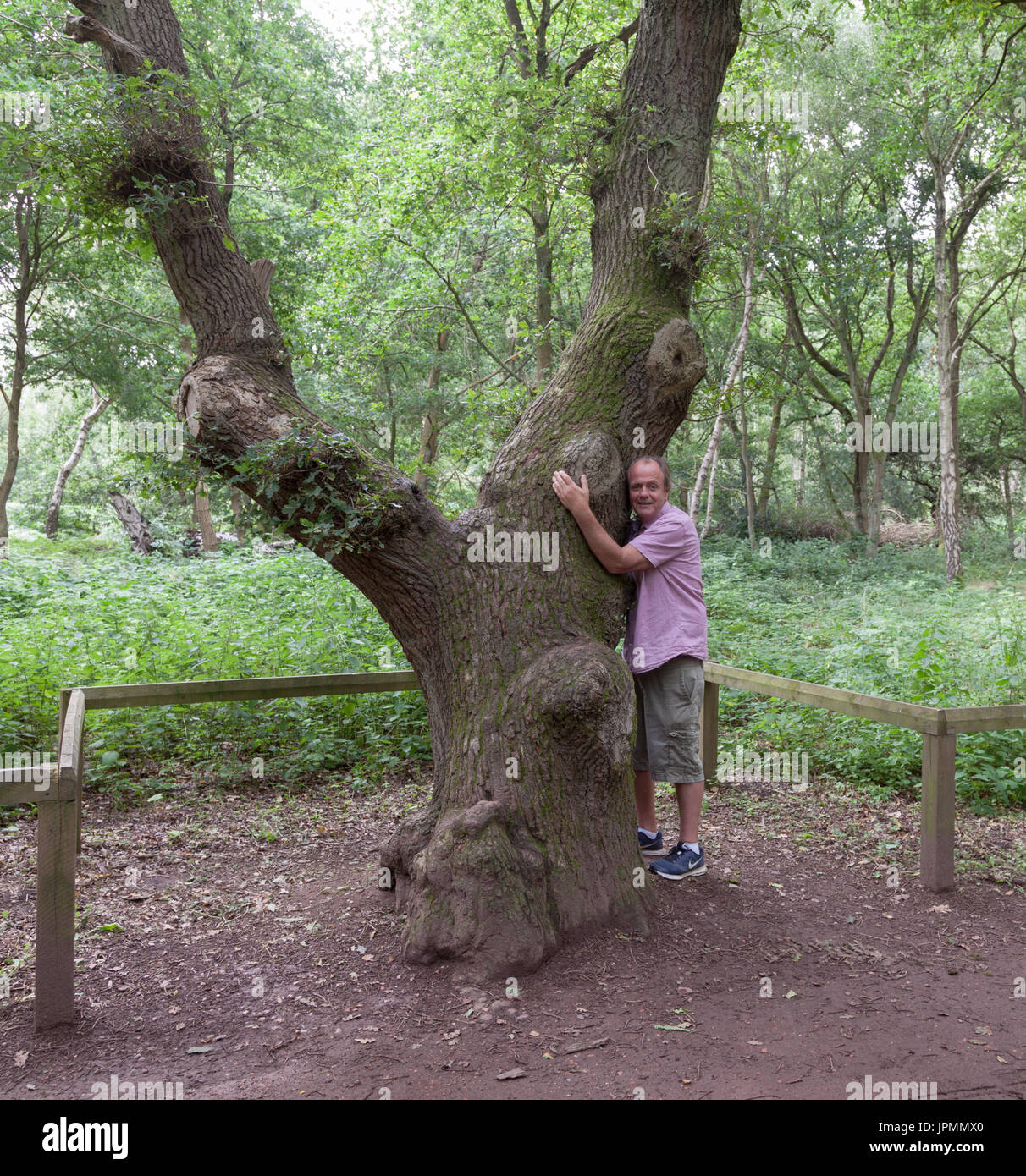 Embrassez un arbre Banque D'Images