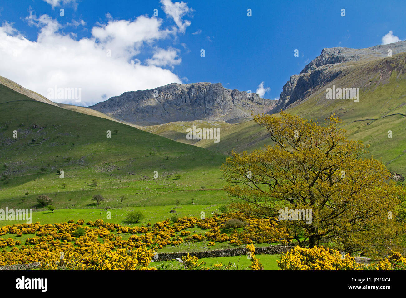Scafell Pike, Wasdale, Cumbria, Angleterre Banque D'Images
