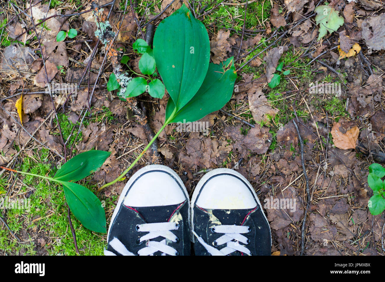 Grungy sneakers à pied à travers les bois, forêt. arrière-plan, la nature. Banque D'Images