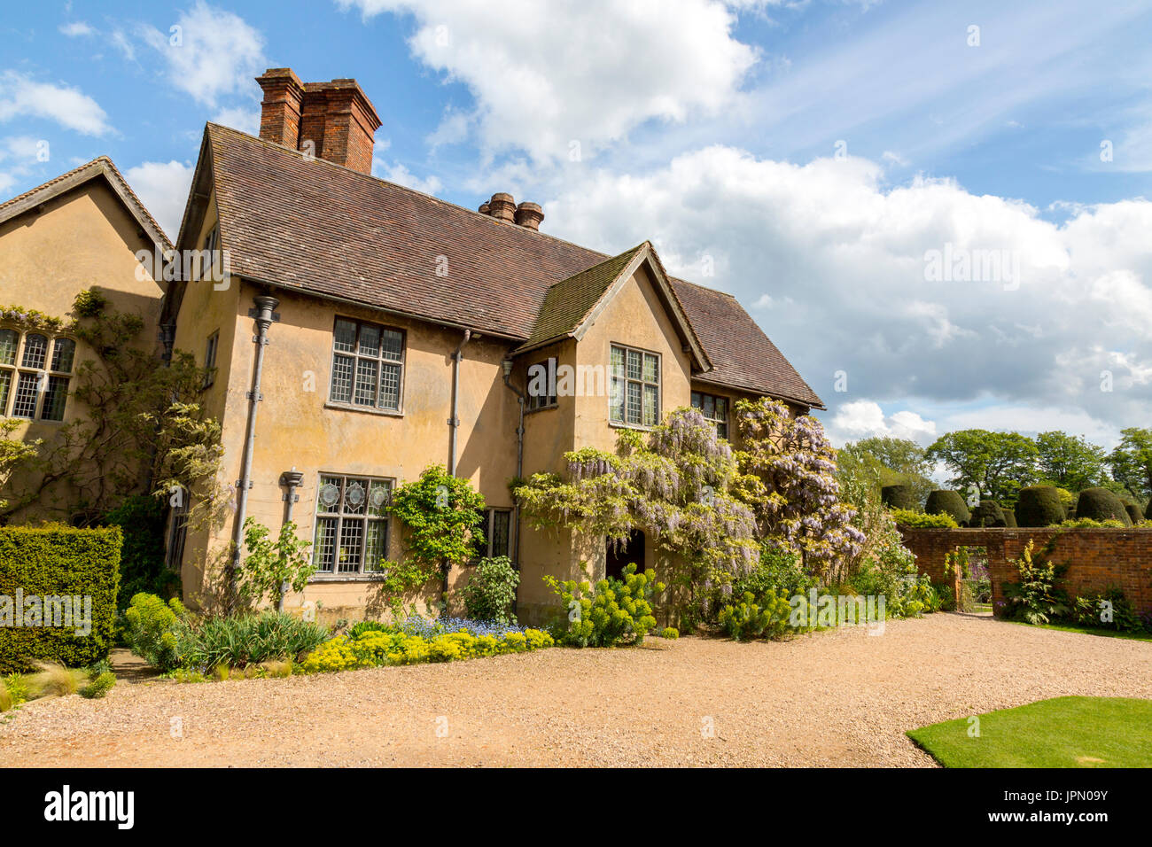 Wisteria pousse contre un mur extérieur de Packwood House - un manoir Tudor préservé dans le Warwickshire, Angleterre, RU Banque D'Images