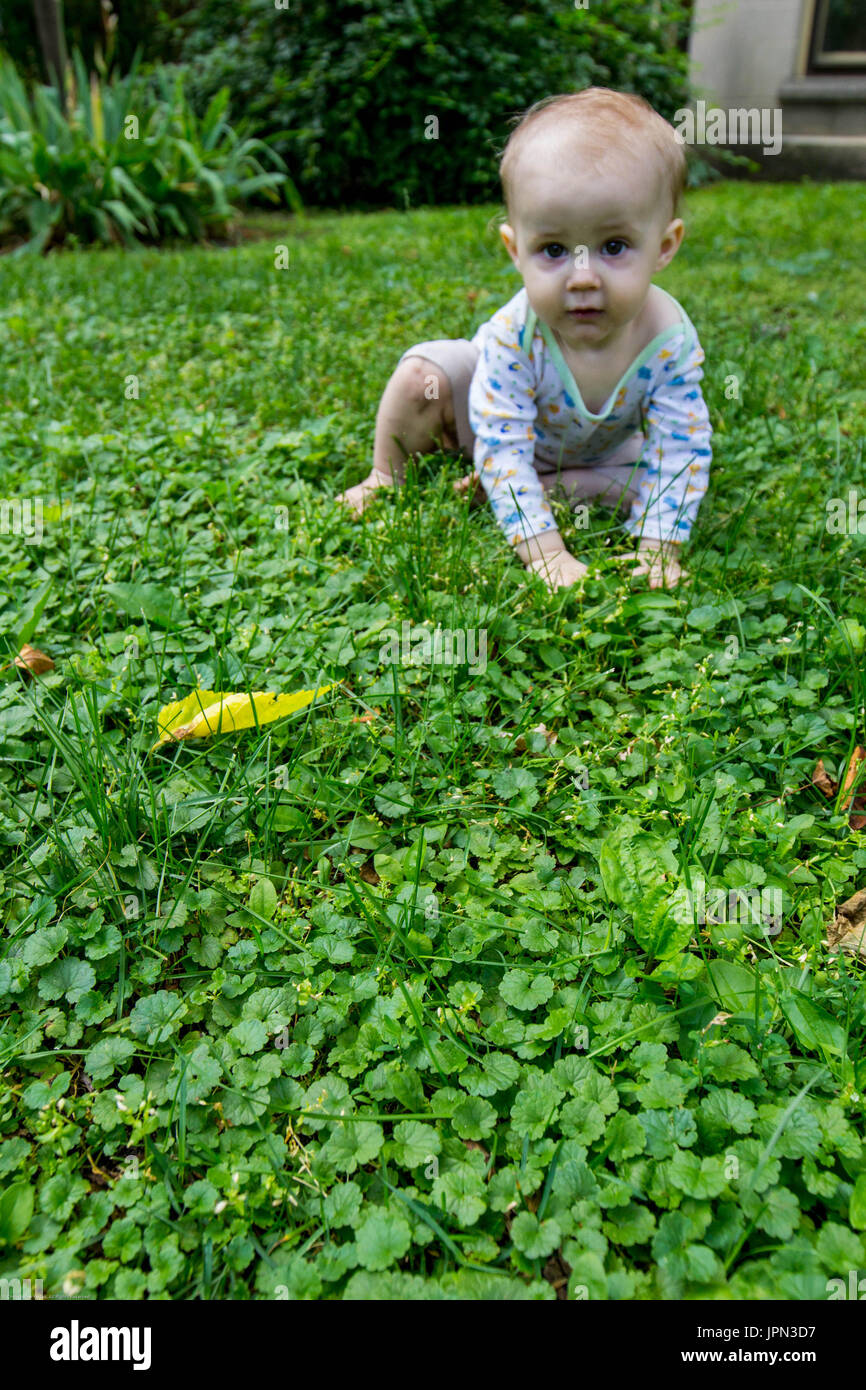 Baby crawling dans l'herbe Banque D'Images