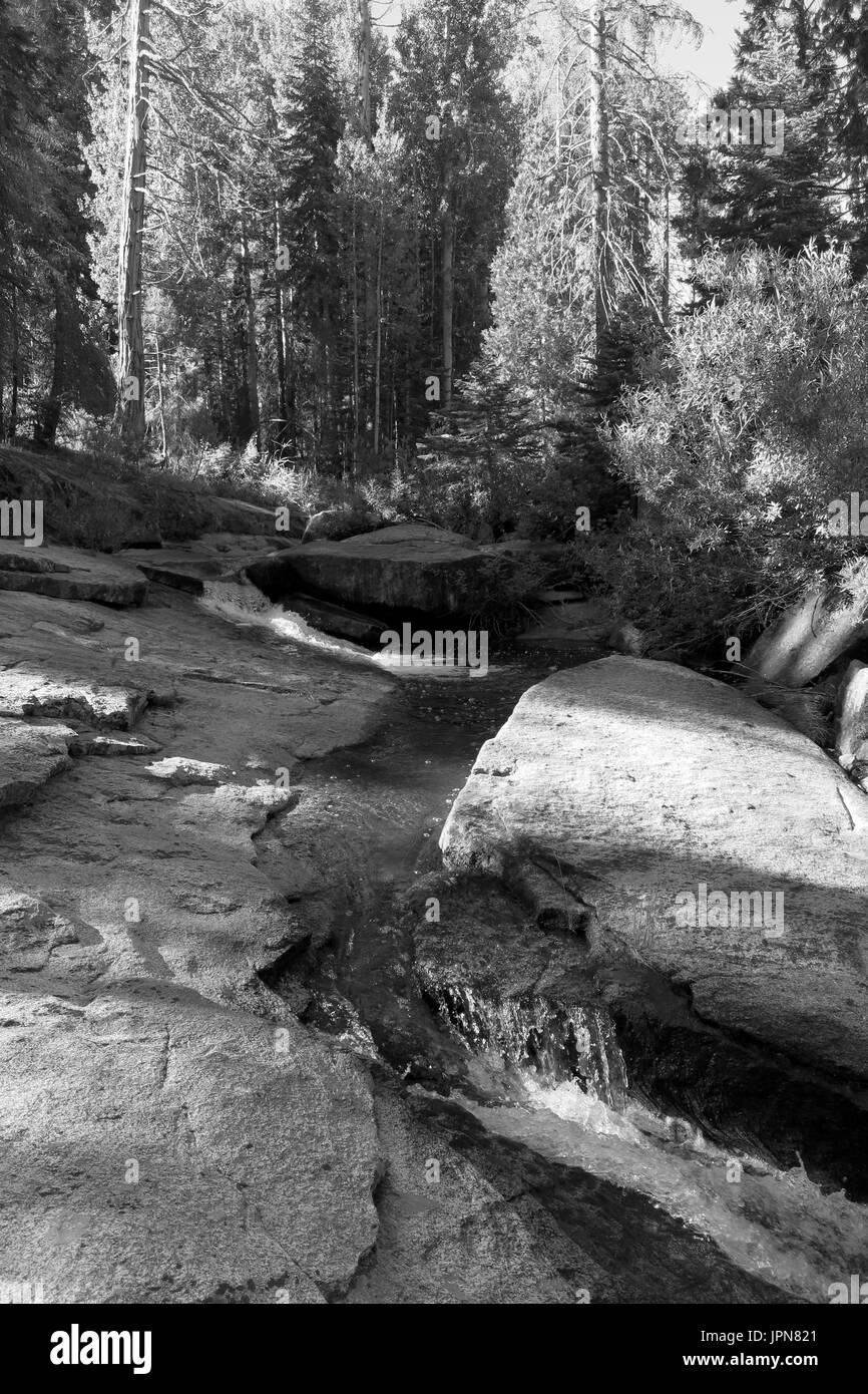 Mini cascade sur dix mile creek, Sequoia National Monument, comté de Fresno, California, UNITED STATES Banque D'Images