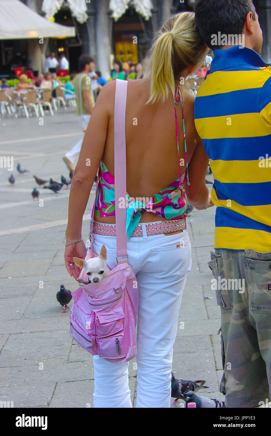 Une jeune femme blonde et compagnon promenade dans la piazza San Marco à  Venise Italie alors qu'elle porte un petit chien chihuahua dans son sac à  main rose Photo Stock - Alamy