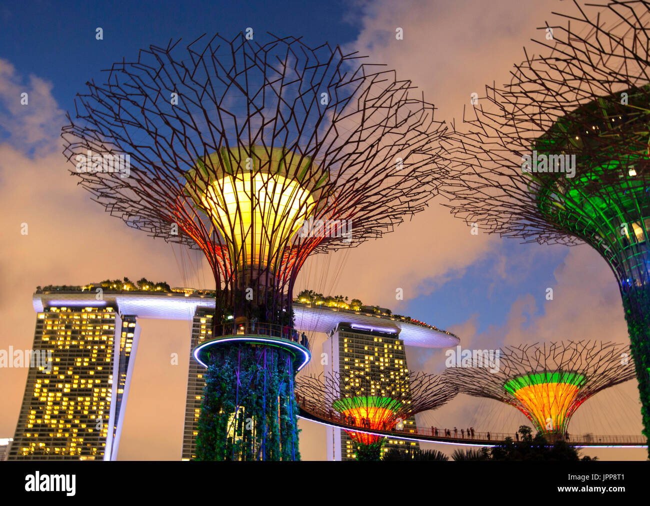 Super lumineux tree groves au bay front gardens également connu sous le nom de jardins au bord de la baie de nuit,avant,Baie de Marina Bay, Singapour,PRADEEP SUBRAMANIAN Banque D'Images