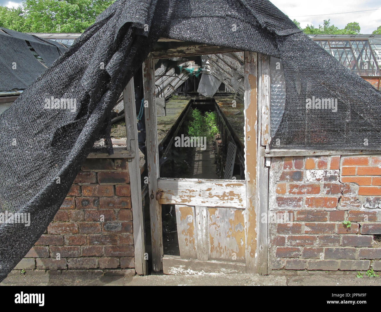 Les éclats de verre serre désaffectée unloved délabré Banque D'Images