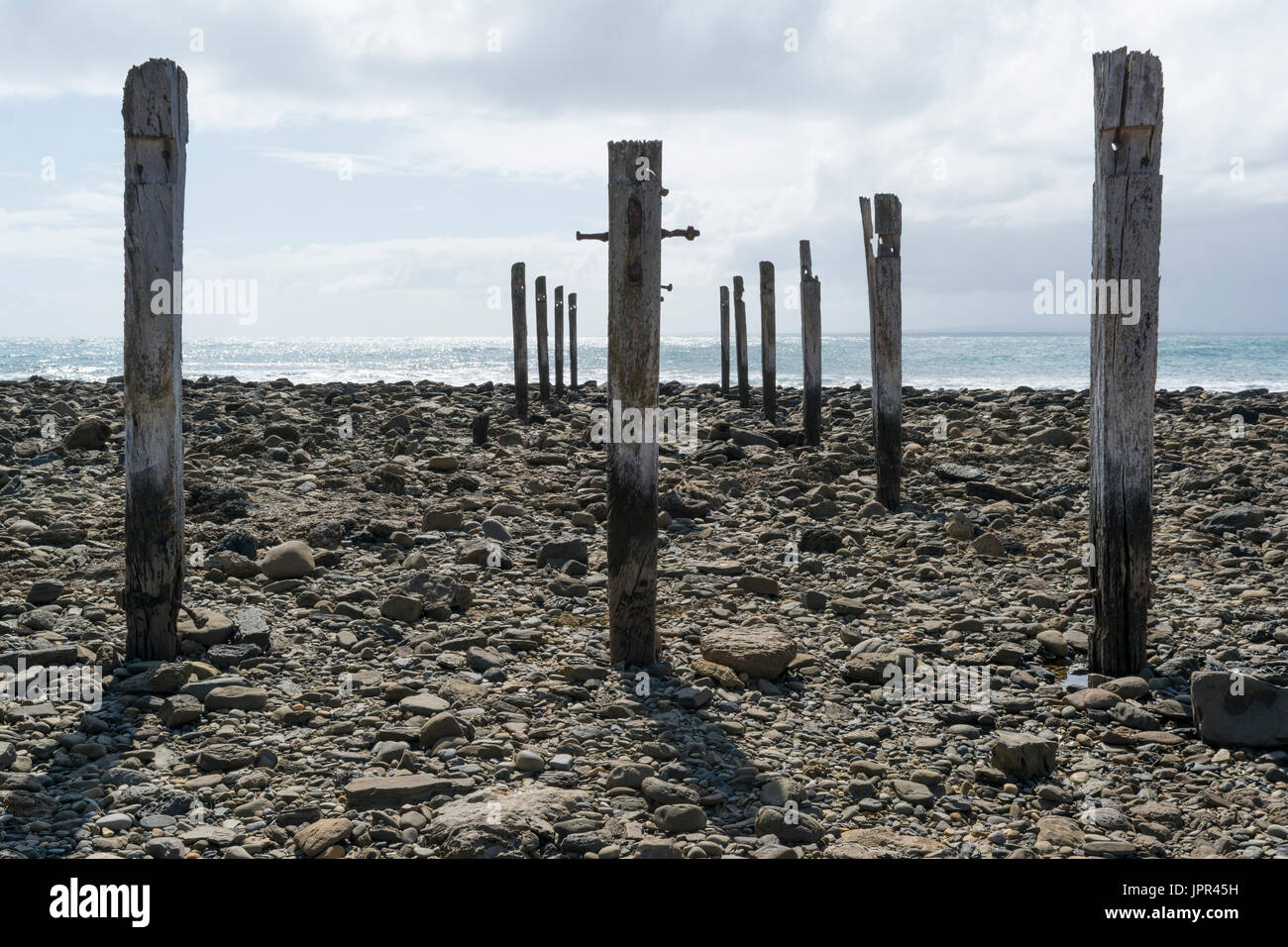 Marée basse tout à l'exposition du pilier pylône posts, en décomposition progressivement au soleil, de l'ancienne jetée, ruines de Myponga Beach, Australie du Sud. Banque D'Images