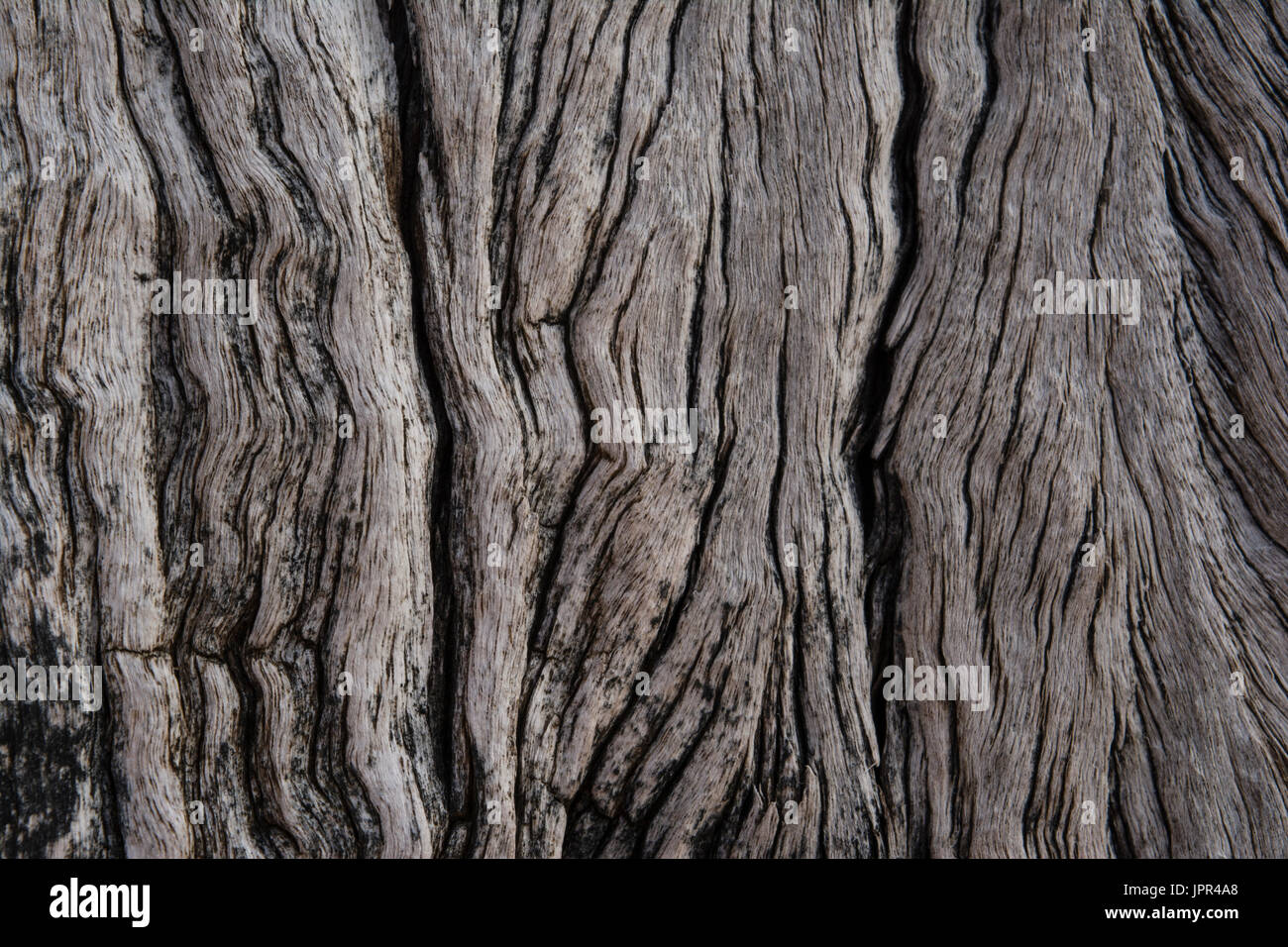 Mettant en vedette les textures et motifs en bois en décomposition, sur piliers pylône sur la jetée ruines à Myponga Beach, Australie du Sud Banque D'Images