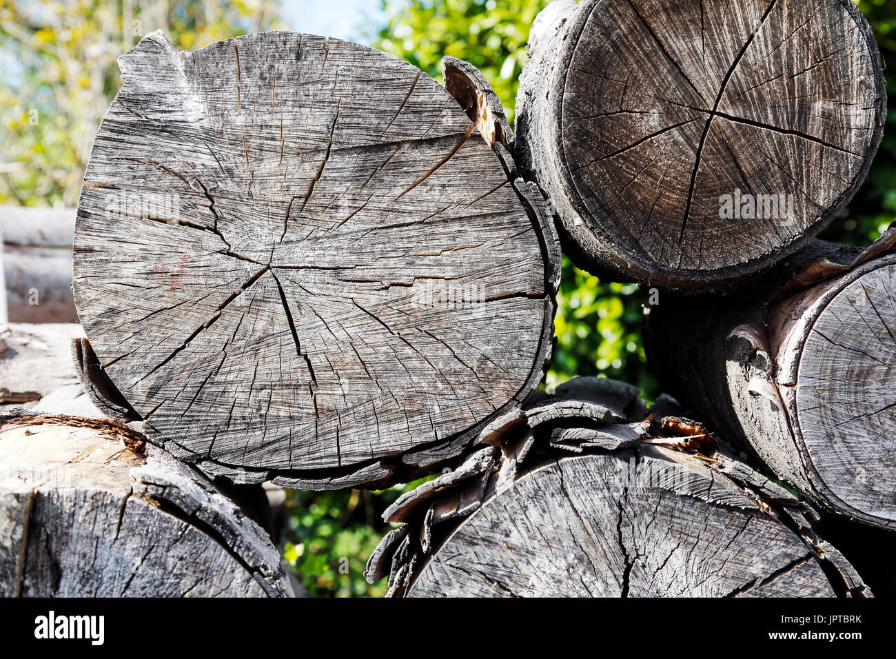 Bois de chauffage empilés et disposés dans une pile de grumes en bois Banque D'Images