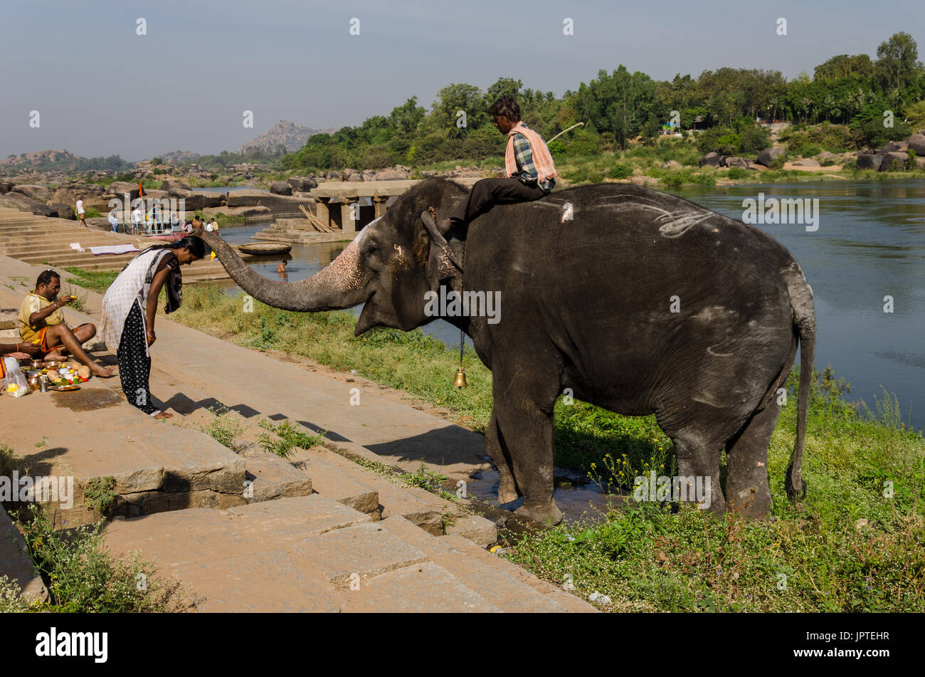 Bénissez l'éléphant, Hampi, Karnataka, Inde Banque D'Images