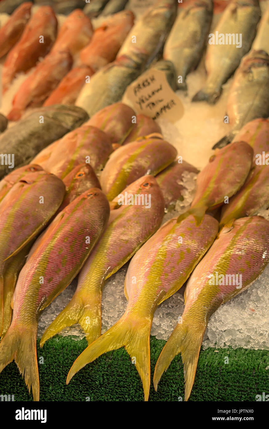 LONDRES, Royaume-Uni - 29 JUILLET 2017: Allowtail Snapper Fish à vendre dans Fishmonger Shop à Brixton Banque D'Images