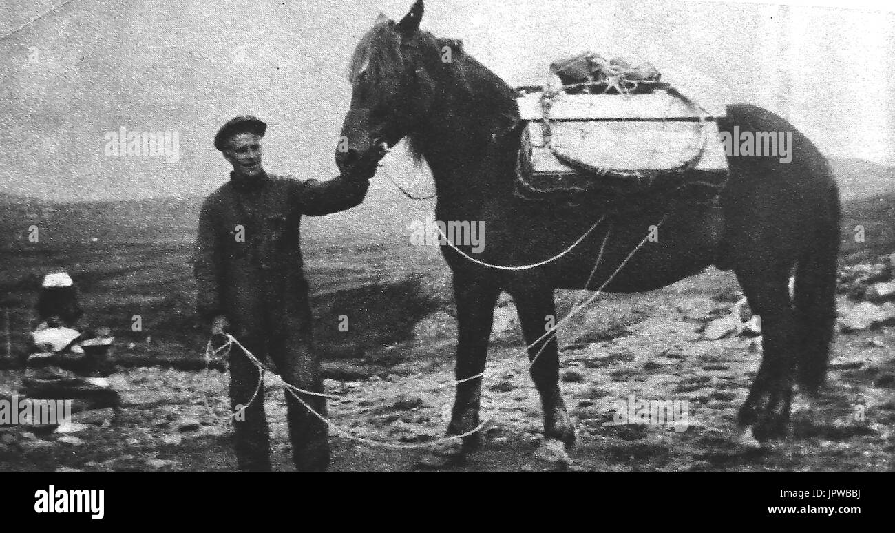 Un travailleur forestier suédois avec son cheval de bât c1947 Banque D'Images