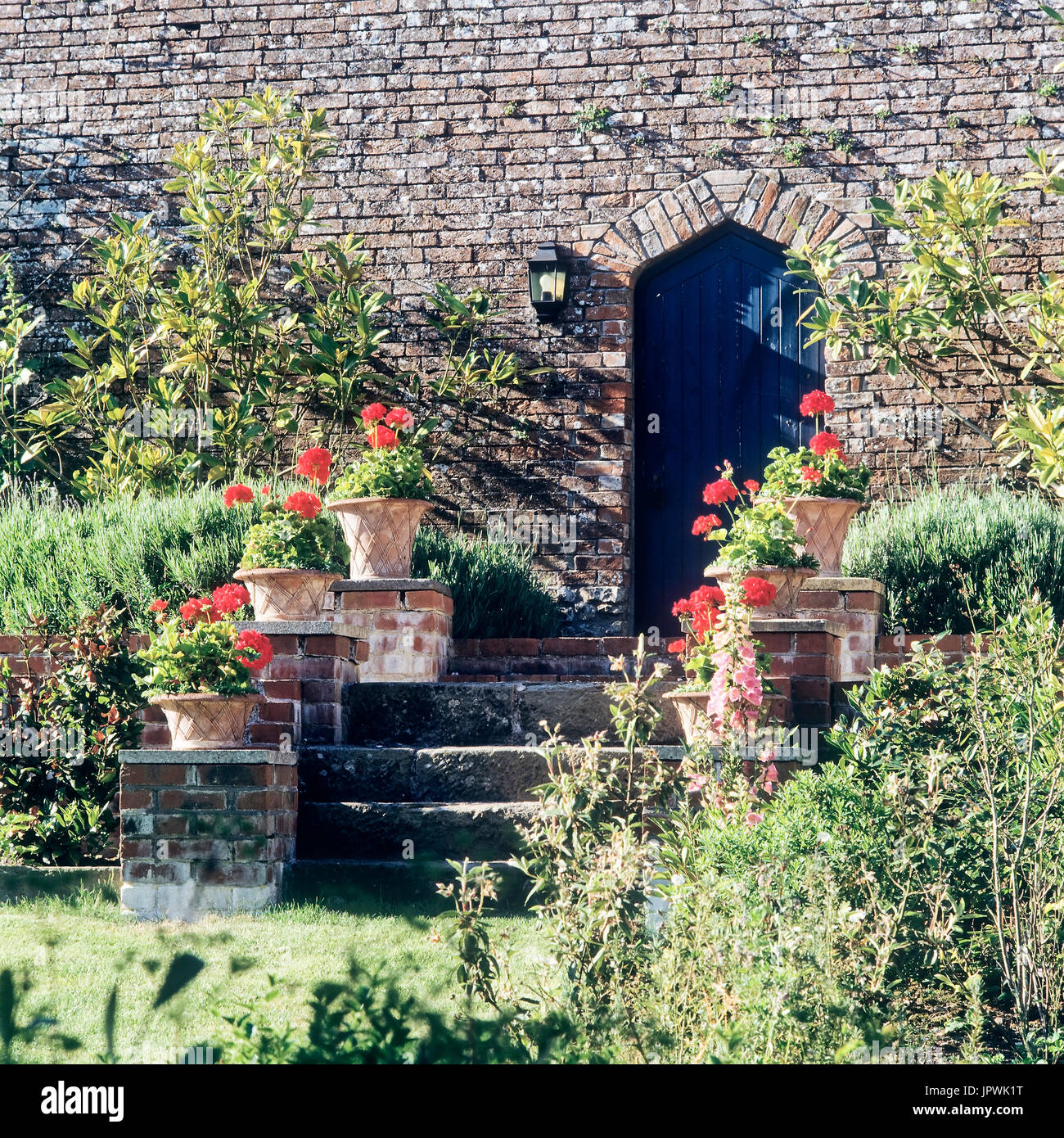 Les pots de fleurs on staircase Banque D'Images