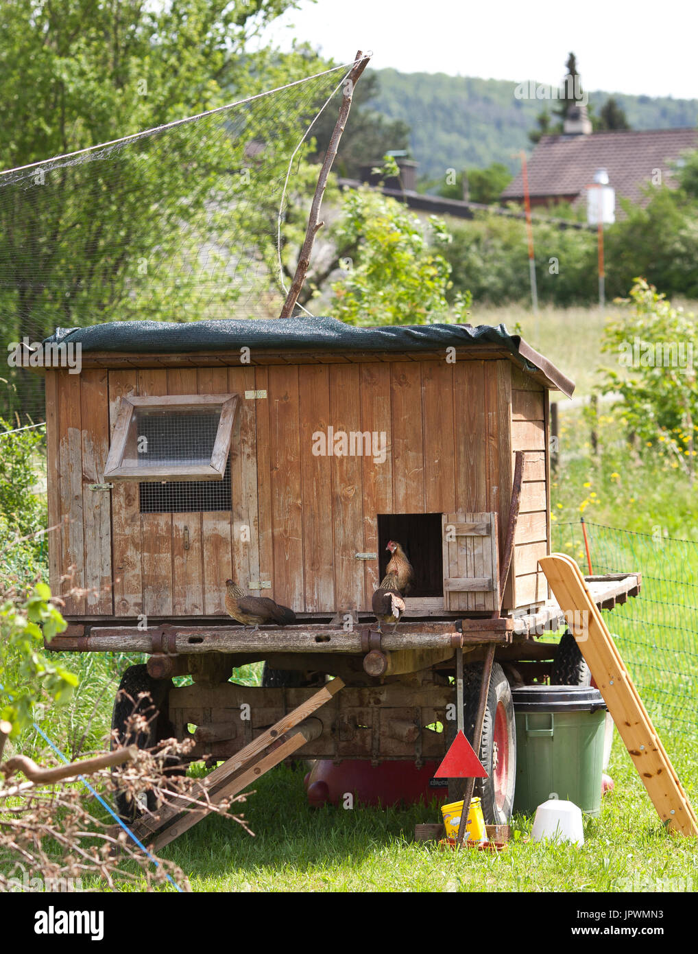 Poulailler Sur Roues Dans Un Jardin Banque Dimages Photo Stock