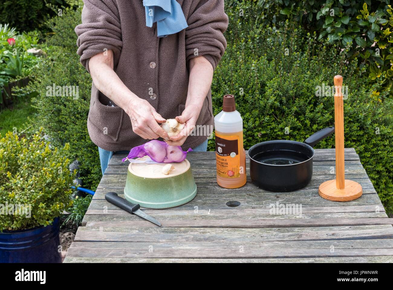 Fabrication d'insecticide Demand bio au savon noir et l'ail Photo Stock -  Alamy