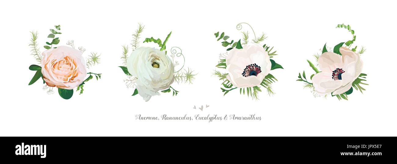 Éléments du vecteur, collection de bouquets blanc rose rose de jardin eucalyptus vert fleurs anémone renoncule et mélange d'herbes plantes saisonnières Big vector Illustration de Vecteur