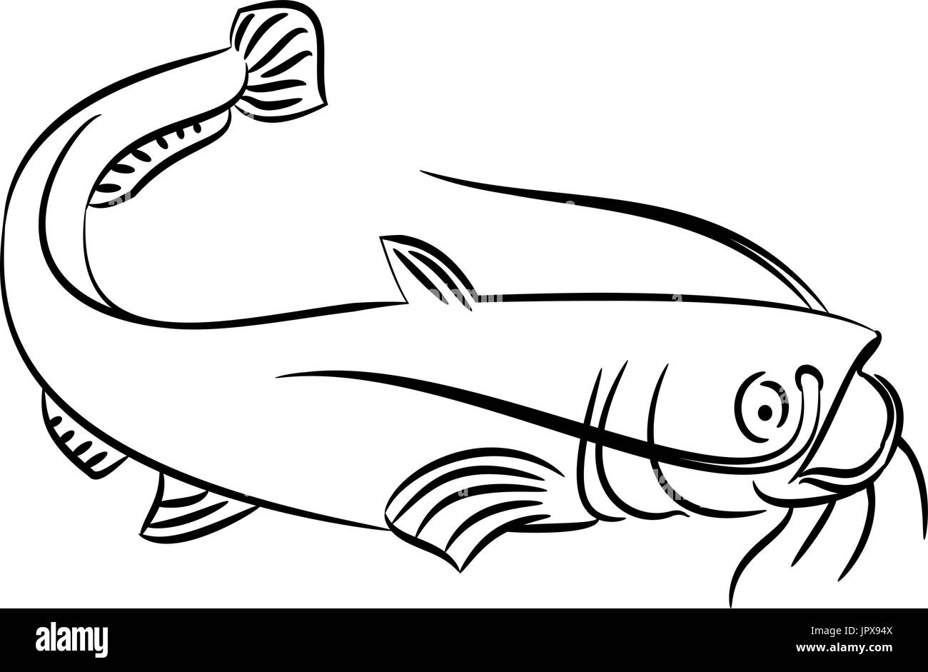 Dessin D Un Poisson Chat Sur Fond Blanc Image Vectorielle Stock Alamy Dessin D Un Poisson Chat Sur Fond Blanc Image Vectorielle Stock Alamy
