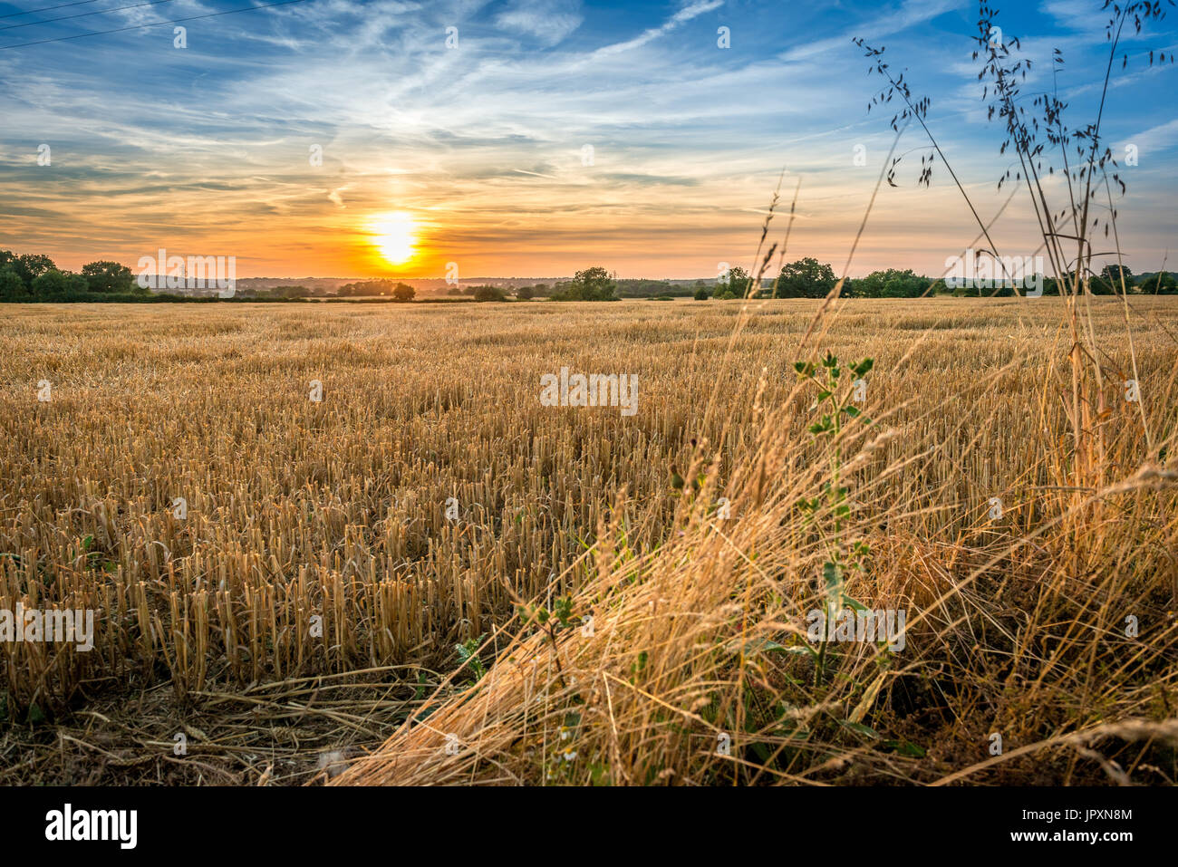 En début de soirée et le soleil commence à se coucher sur les terres agricoles dans le Lincolnshire Fens Banque D'Images