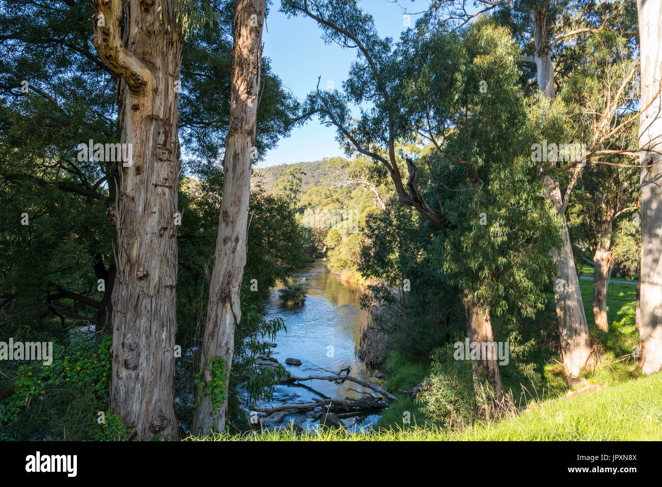 - Paysage près de la rivière Yarra Melbourne - beau temps chaud et ciel bleu Banque D'Images