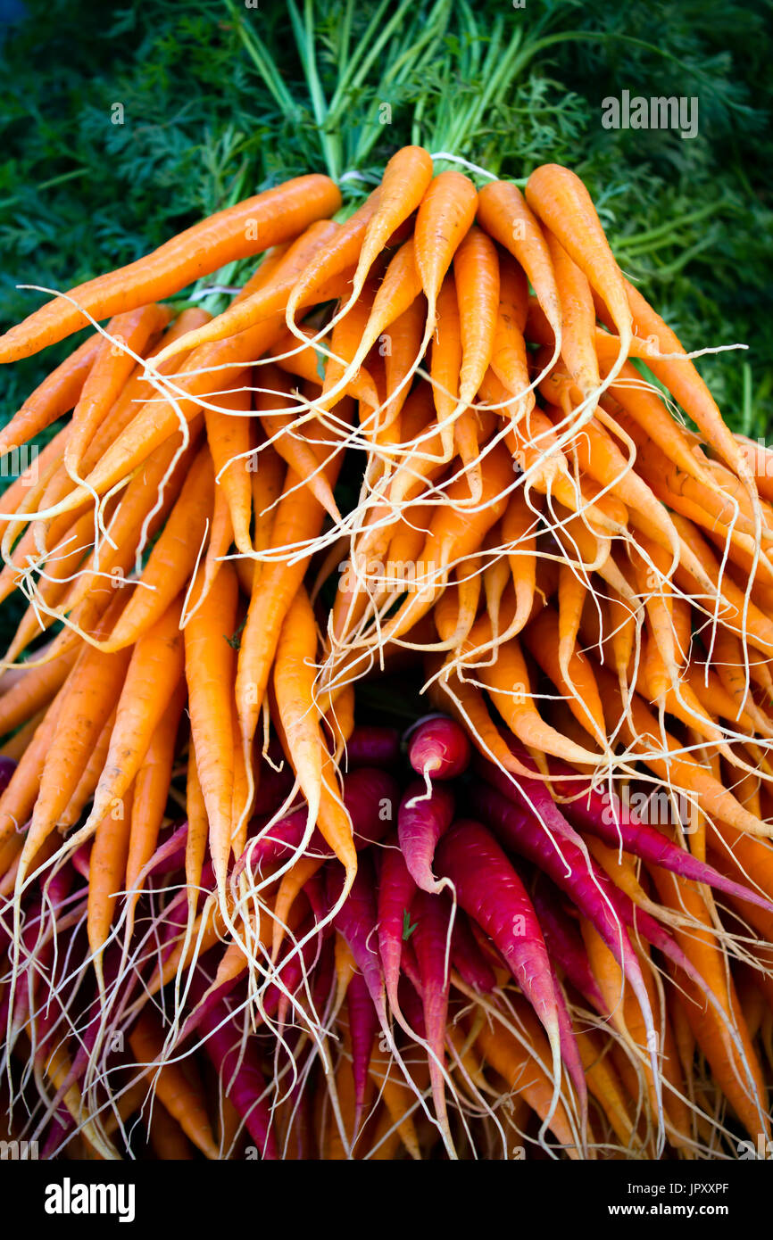 Les légumes biologiques frais mûrs à un marché fermier local à Penticton, Colombie-Britannique, Canada. Banque D'Images