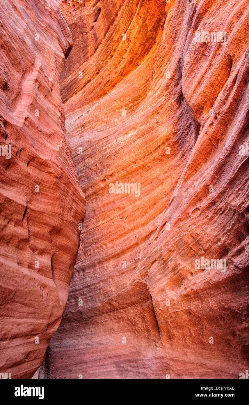 Passer le fil canyon fente ; Paria Canyon-Vermilion Cliffs Wilderness Area, Utah Banque D'Images