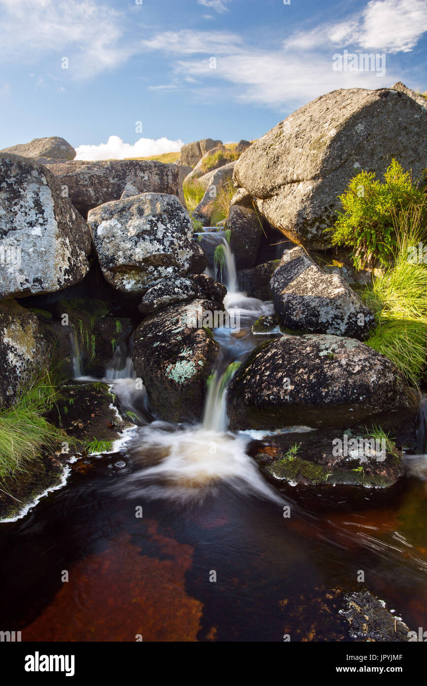 Petite cascade à l'Est de la rivière Dart Postbridge Falls Parc National de Dartmoor Devon Uk Banque D'Images Petite cascade à l'Est de la rivière Dart Postbridge Falls Parc National de Dartmoor Devon Uk Banque D'Images
