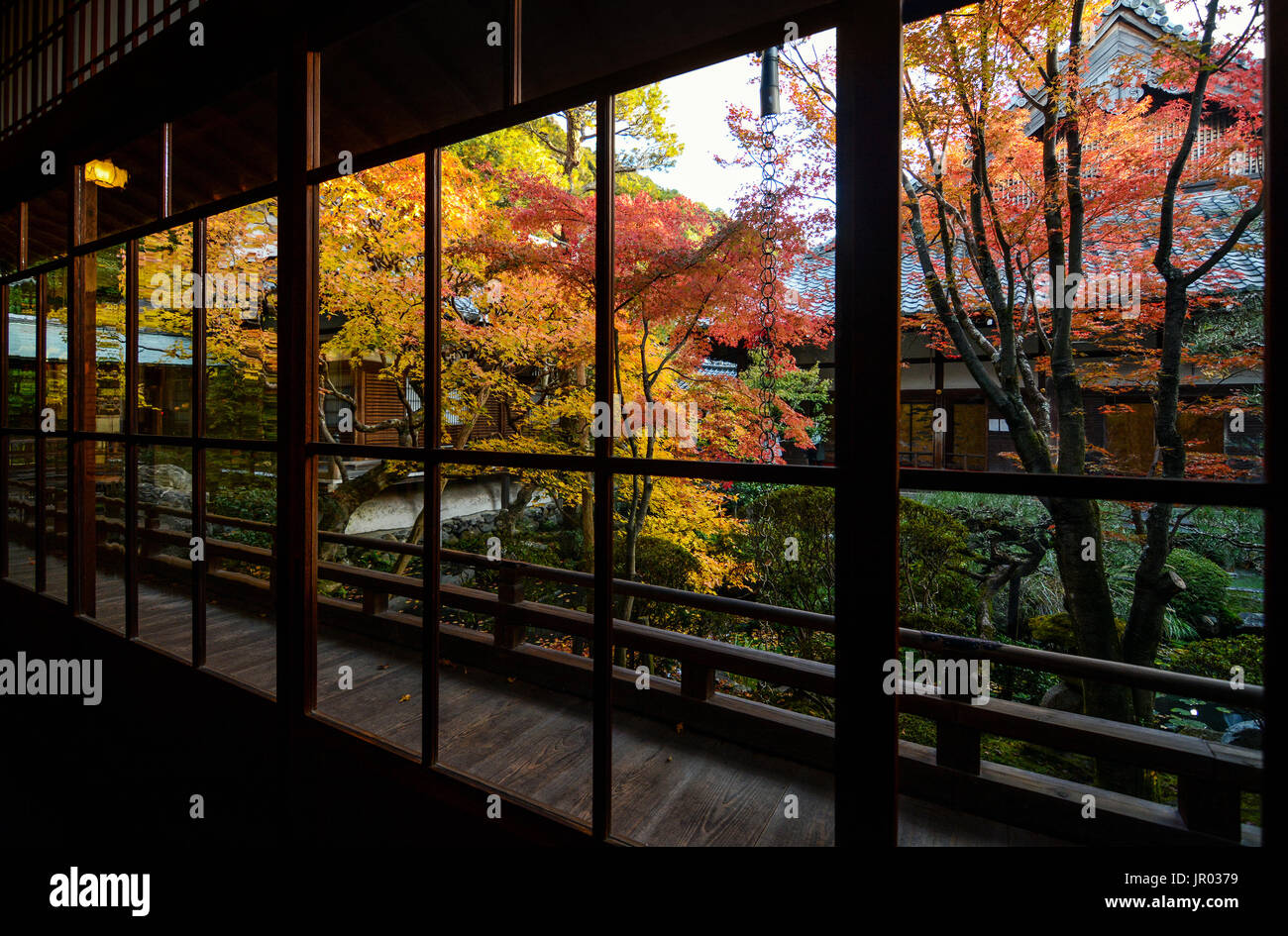 Belle vue sur les arbres d'érable de l'automne à travers les grandes fenêtres à Kyoto, Japon Banque D'Images