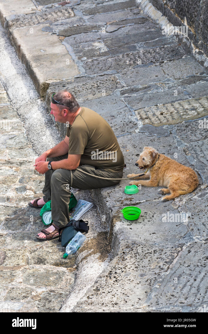 Homme assis avec chien sur mur du port à Lyme Regis, dans le Dorset en Juillet Banque D'Images